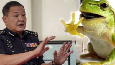Ketua Polis Negara Minta SPRM Siasat 'Katak Politik'
