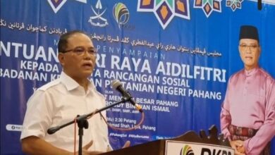 Wan Rosdy Wan Ismail, Menteri Besar Pahang