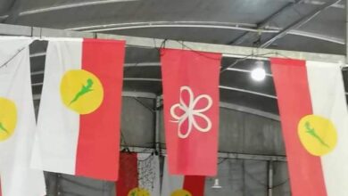 Bendera PPBM dalam perasmian Bahagian Arau