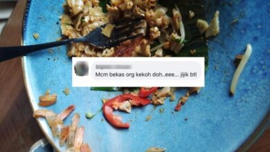 Udang ghaib daripada pinggan