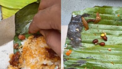 Terkejut buka bungkusan ‘nasi lemak akhir zaman’