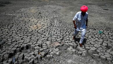 Gelombang haba: Tempat tinggal manusia semakin ‘pupus’