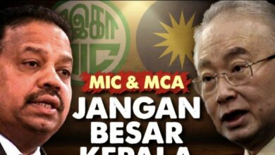 Takut Kepada DAP Menyebabkan MCA Dan MIC Bersikap Biadab