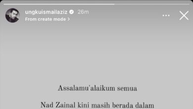 Ungku Aziz ‘Update’ Mengenai Nad Zainal