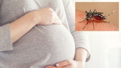 6 sebab kenapa anda jadi sasaran gigitan nyamuk
