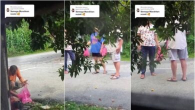 Wanita ini bermurah hati untuk beri buah ciku kepada jiran.