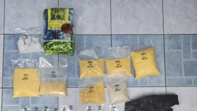 Bungkus heroin, syabu dalam kandang lembu