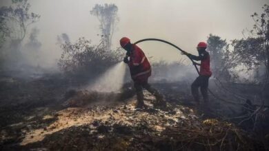 Indonesia cegah kebakaran hutan gambut guna teknologi hujan buatan