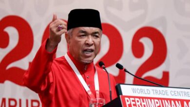 I had to save Umno from enemies within the party, says Zahid