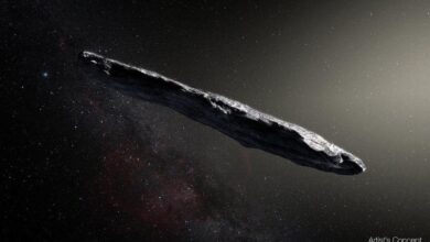 Komet Oumuamua pelawat pertama bumi