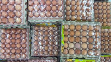Mat Sabu: Only one company allowed to import eggs from India