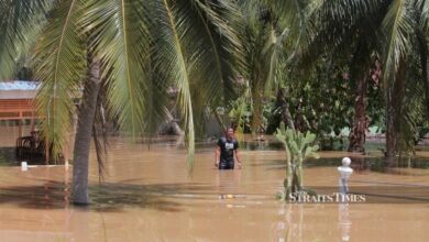 Number of flood victims in Johor, Melaka and Pahang drops further