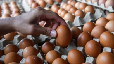 'Egg prank' ancam kesihatan anak - pakar