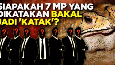 Siapakah 7 MP yang dikatakan bakal jadi 'KATAK'?