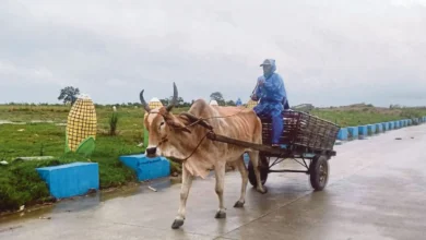 Super Saola ancam Filipina