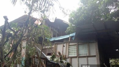 Rumah panjang dihempap pokok tumbang