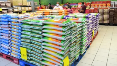 Govt to launch scheme to sell reasonably priced rice