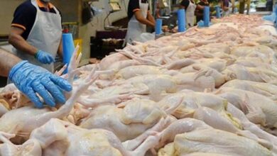 Ayamas denies migrant worker mistreatment at chicken processing plant