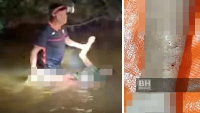 Wanita maut dipatuk ular ketika cari siput sungai