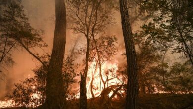 Kebakaran hutan di Texas, lebuh raya terpaksa ditutup