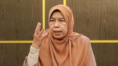 Zuraida apologises to Saifuddin in court to settle lawsuit