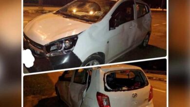 Herd of elephants step on car with family inside on East-West Highway