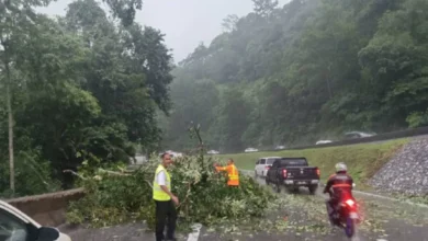 Hujan lebat, angin kuat akibatkan pokok tumbang di Lebuhraya KL - Karak