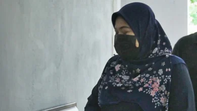 Wanita kena dakwa gagal kemuka penyata pendapatan LHDN