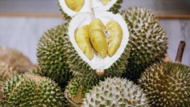 China to get fresh, not frozen, Malaysian durians from May 2024