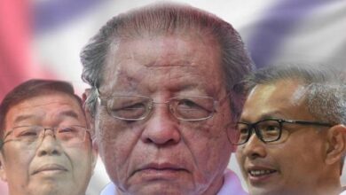 Selepas Lim Kit Siang Dan Tan Kok Wai, Tony Pua Pula Serang Kerajaan Perpaduan