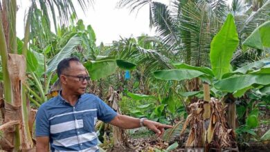 Cakaran 'misteri' gusarkan penduduk empat kampung