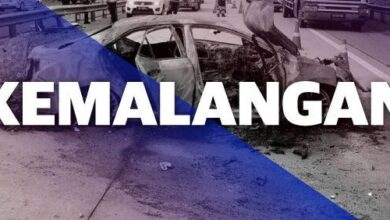 Penunggang motosikal maut akibat langgar babi