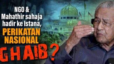 NGO & Mahathir sahaja hadir ke Istana, Perikatan Nasional ghaib?