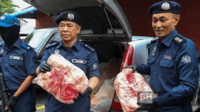 Kastam berjaya ramas ayam sejuk beku dipercayai diseludup