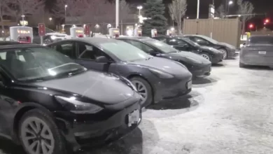 Kereta Tesla alah musim sejuk