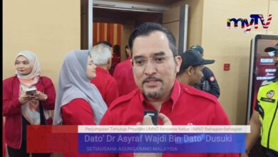 UMNO teruskan usaha bebaskan Najib Razak