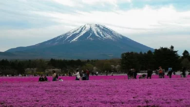 Pendaki Gunung Fuji dijangka dikenakan yuran mulai Julai