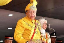 Many in Selangor agree with Sultan's call for half of local councillors to be professionals