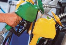 What happens if the government pulls all petrol subsidies?