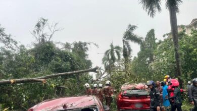 Fallen trees in KL damage 14 cars