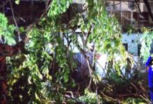 Pokok tumbang hempap rumah, tiang elektrik dan kenderaan