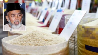 Bernas perlu umum harga siling beras putih import