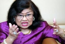 Rafidah Sepatutnya Tegur Mahathir Yang Menabur Racun Dalam Periuk Nasi Orang