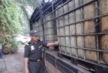 Lebih 5,000 liter minyak diesel dirampas KPDN di Trong