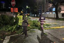 10 lokasi pokok tumbang akibat hujan lebat, angin kencang