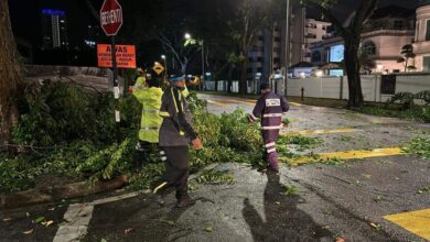 10 lokasi pokok tumbang akibat hujan lebat, angin kencang