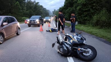 Penunggang motosikal maut langgar babi mati tengah jalan