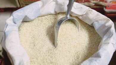 Usaha Thailand jual beras lama imbau dasar dianggap malapetaka