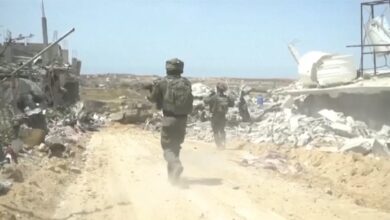 Ratusan tebuan serang tentera Israel