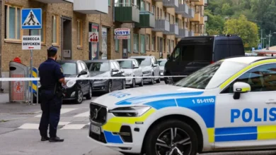 Polis Sweden siasat bangkai babi dibuang luar masjid